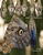 Cocoon [HL:349683]