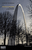 Concerto Rhapsody (The Arch) [HL:349914]