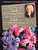 J.S. Bach - Concerto in F Minor, BMV1056 & J.C.F. Bach - Concerto in E-flat Major [HL:400009]