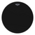 Ambassador Ebony Series Drumhead [HL:3700556]