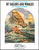Of Sailors and Whales [HL:3777850]
