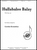 Hullabaloo Balay [HL:8771528]
