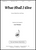What Shall I Give - Unis/satb [HL:8772236]