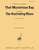 That Mysterious Rag & The Hesitating Blues - Bsn 4 [HL:8772859]
