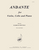 Andante For Vln, Clo And Piano [HL:8773392]