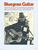 Bluegrass Guitar [HL:14004656]