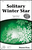 Solitary Winter Star [HL:35028234]