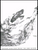 Catalogue of Birds (Catalogue d'Oiseaux) - Volume 1 [HL:48182061]
