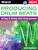 Producing Drum Beats [HL:50449598]