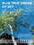 Blue True Dream of Sky [CF:494-03208]