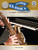 Festival Classics for Alto Saxophone [CF:WF179]