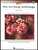 The Art Song Anthology - High Voice [HL:230033]