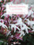 Winter Jasmine [CF:114-41524]