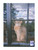 Schocker, Outside My Window, Bird [CF:PP-GS36]