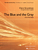 The Blue and the Gray [HL:48030027]