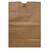 Paper Evidence Bags, Plain  - 100/pkg