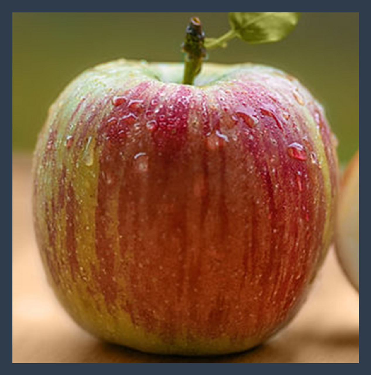 gravenstein apple