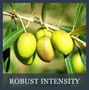 ARBEQUINA p502.9