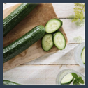 Suyo Cucumber