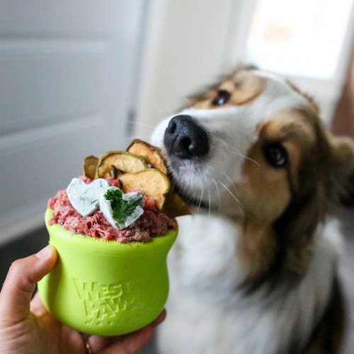 Recipes for Treat Toys