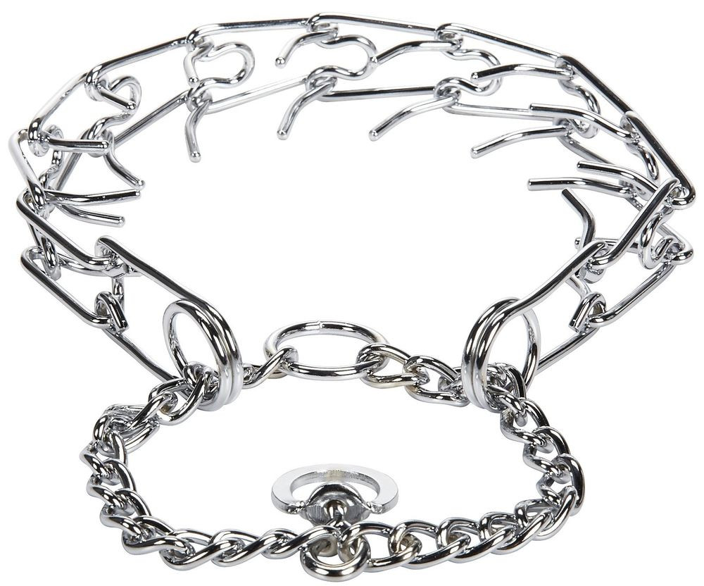 titan prong collar