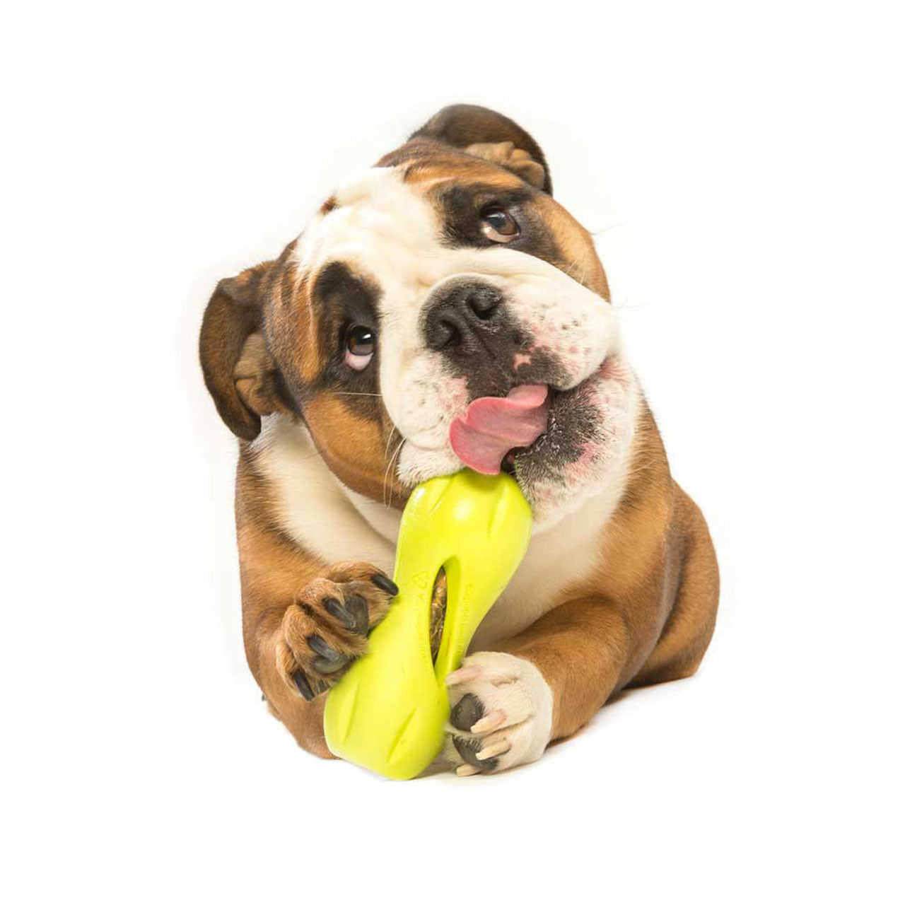 Qwizl - Dog Treat Toy - Small