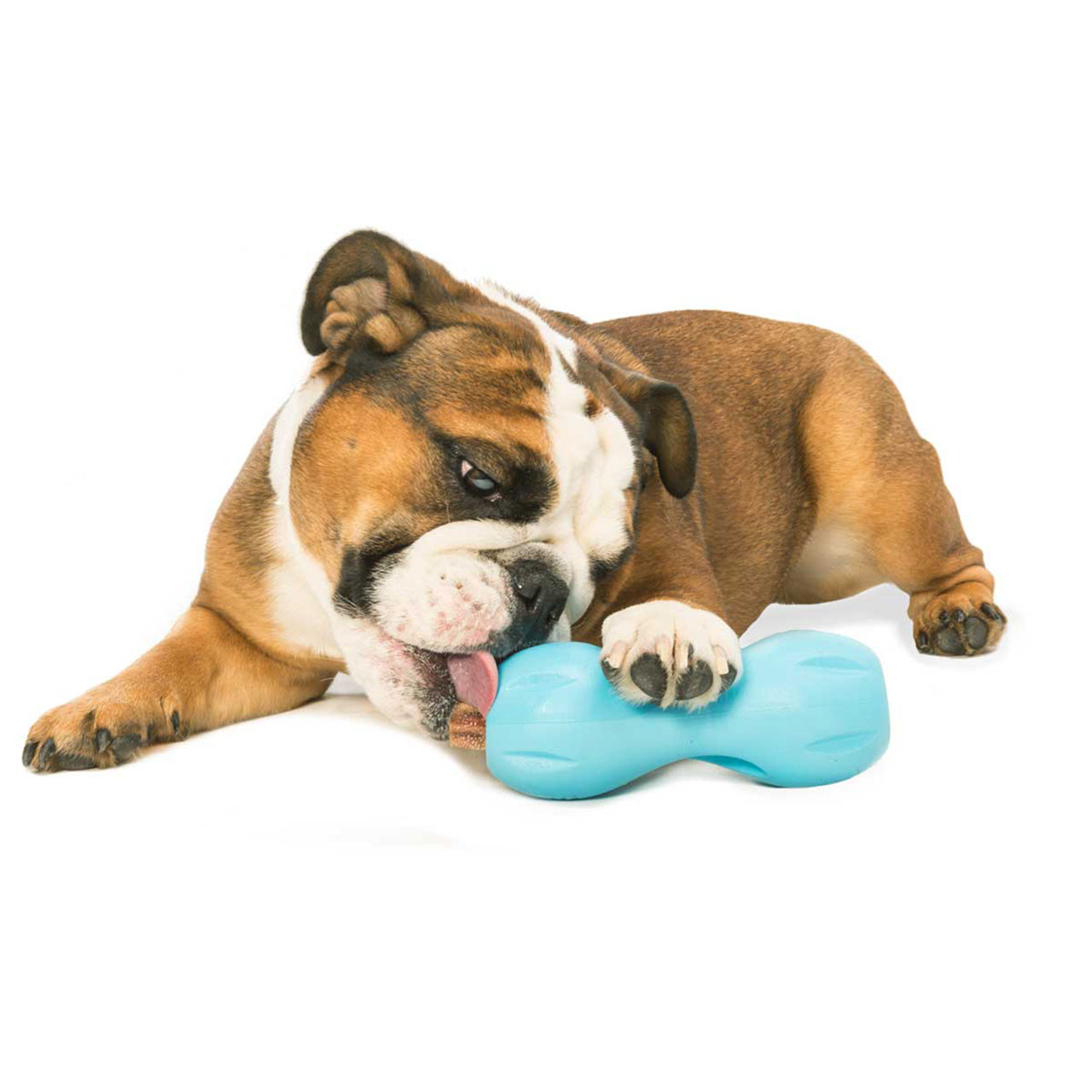 West Paw Qwizl Treat Toy Aqua Blue (Small)