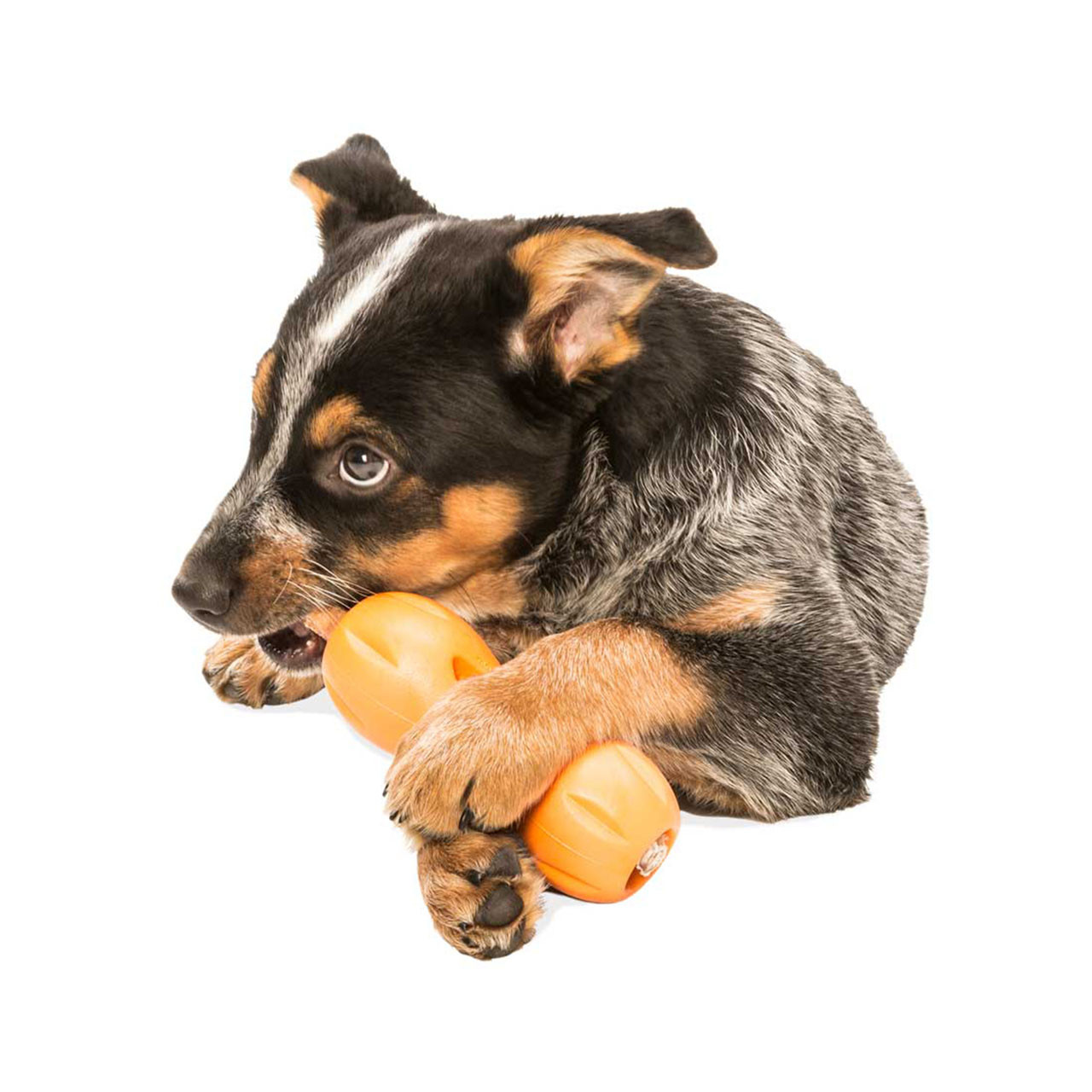 West Paw Dog Toy: Rumpus Tangerine / Small