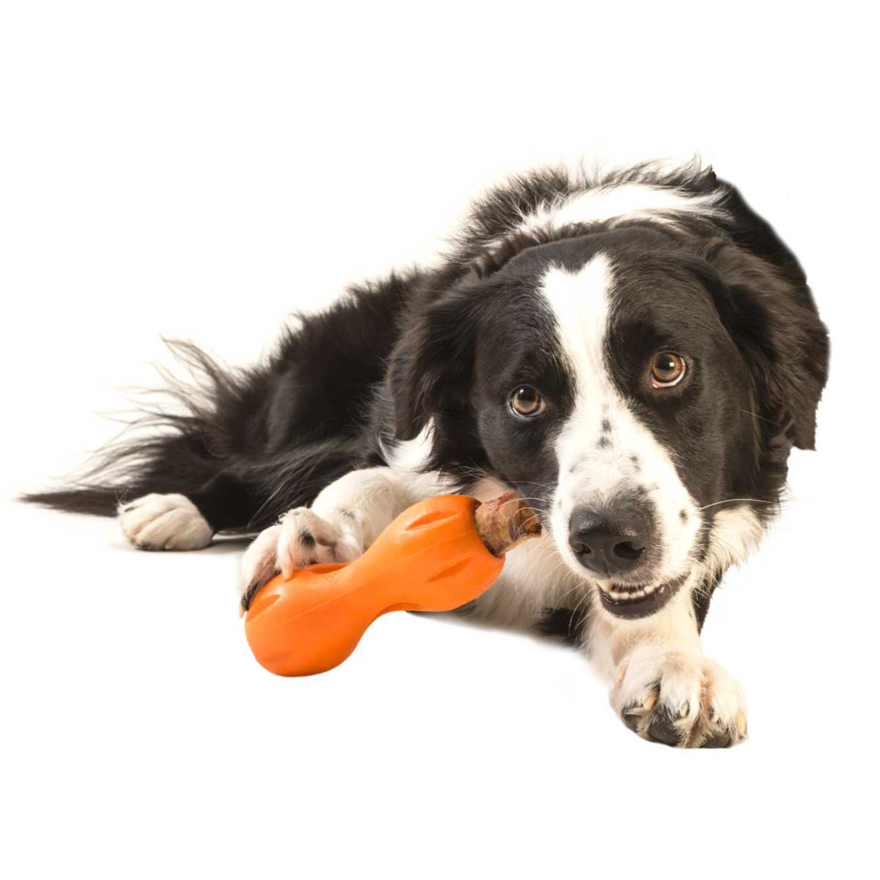 West Paw Tizzi Dog Toy - Large - Tangerine