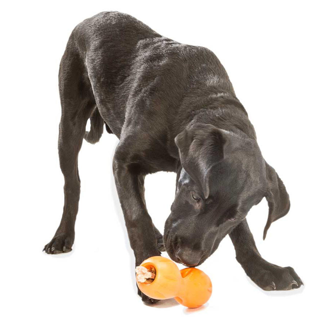 West Paw Dog Toy: Rumpus Tangerine / Small