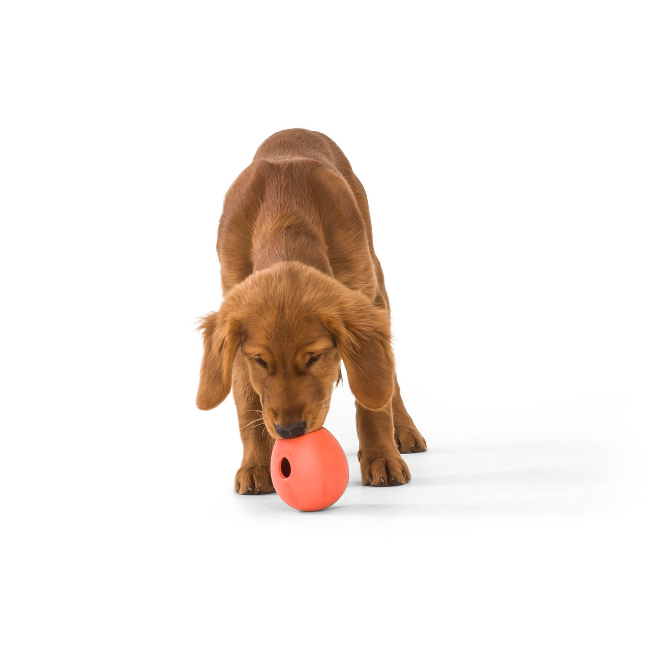 Treat Dispensing Dog Toy