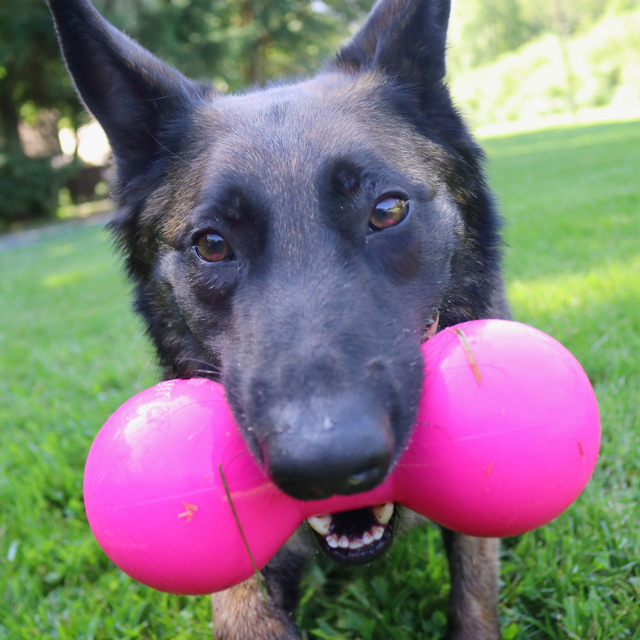 Ruff Dawg Indestructible Big Dawg Tough Dog Chew Toy