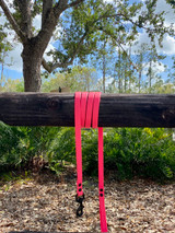 Biothane Dog Leash
