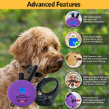 Micro Educator by E-Collar Technologies