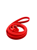 Biothane Slip Lead