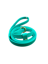 Biothane Slip Lead