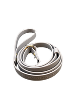 Biothane Slip Lead