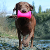 Ruff Dawg Crinkit Ruff Dawg Crinkit