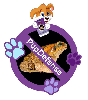 Protect Your Pup & Get Rid of Cane Toads