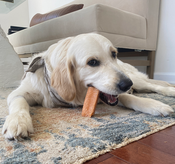 ​The Natural Delight: Exploring the Benefits of Yak Cheese Chews for Dogs