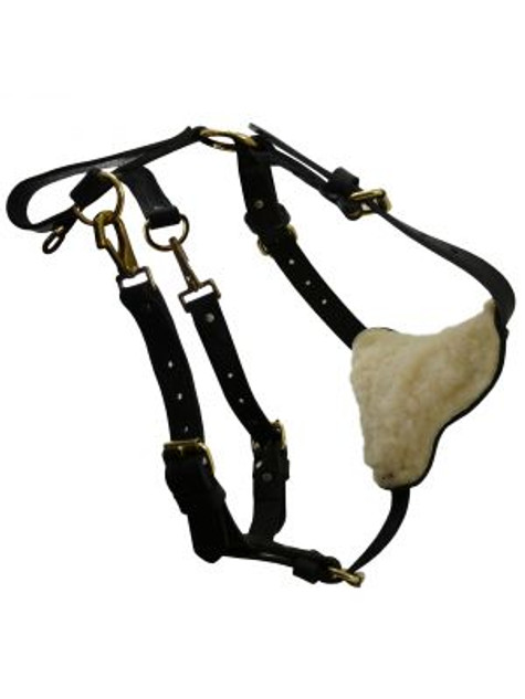 Ray Allen Multifunctional Leather Harness with Side Release Buckle 