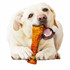 Nylabone Flavor Frenzy Pepperoni 