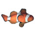 DOGLINE Tropical Fish Dog Toys 