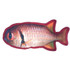 DOGLINE Tropical Fish Dog Toys 