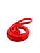 Biothane Slip Lead