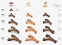 Benebone Wishbone 