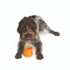 West Paw Zogoflex Toppl Treat Dispensing Dog Chew Toy