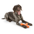 West Paw Skamp Dog Toy for Moderate Chewers
