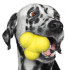 Playology  Large Squeaky Bounce Ball