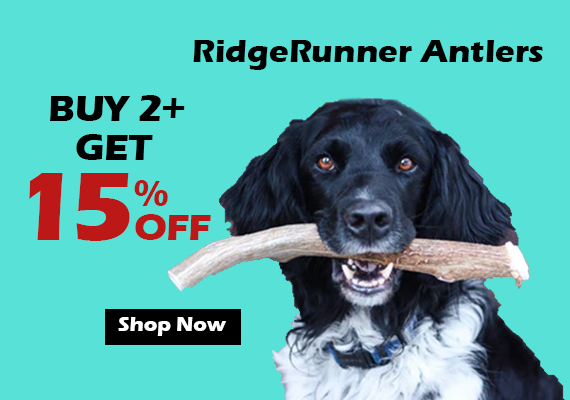 Antler Special 15 OFF%